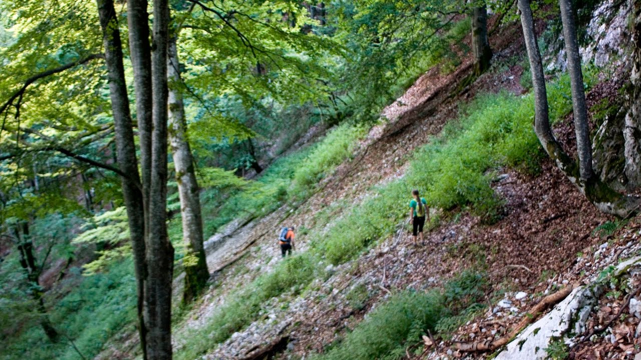 Bihar hegys&eacute;g, Boga, H&aacute;rom kir&aacute;lyok, Cz&aacute;r&aacute;n-kil&aacute;t&oacute;. Hardcore t&uacute;ra 4/4