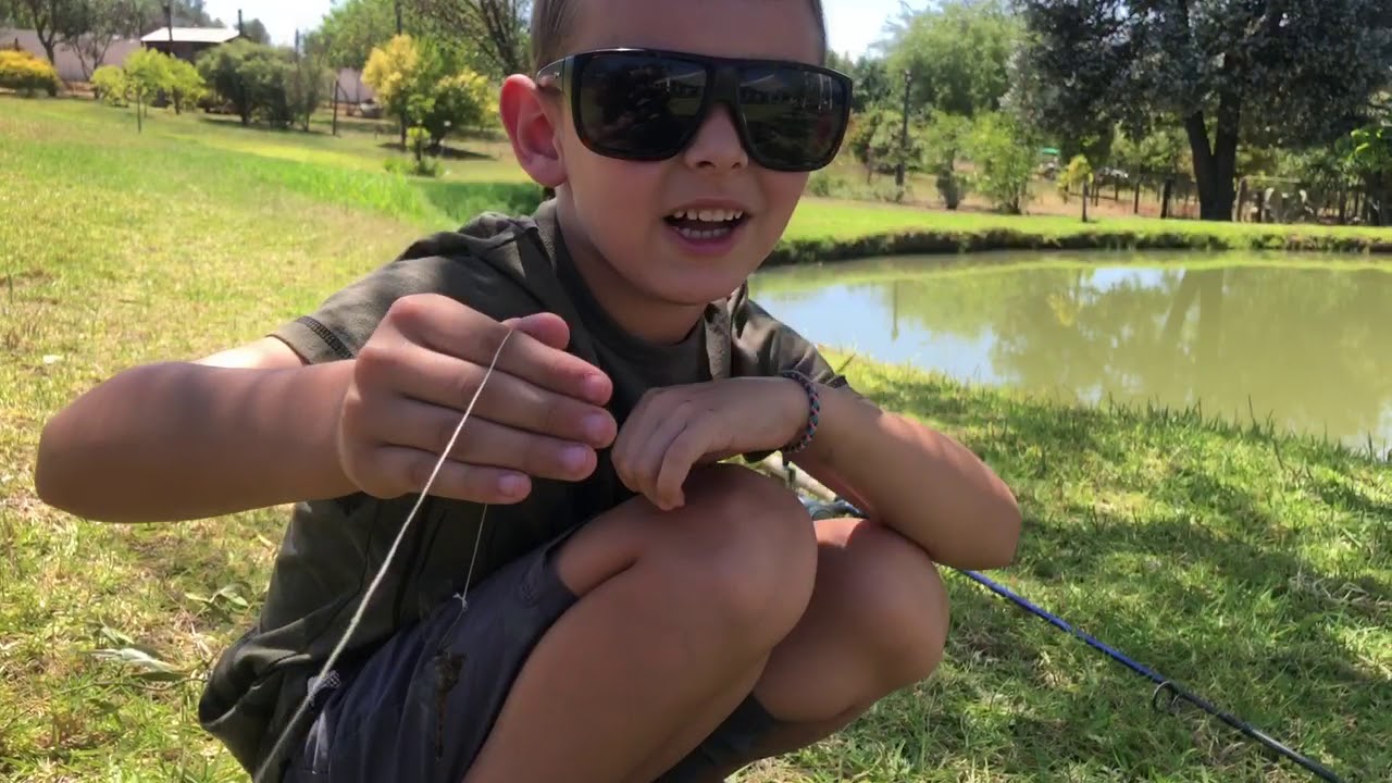 The dragonfly Challenge