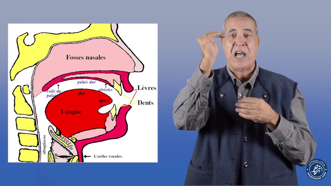 Module 2 du MOOC 