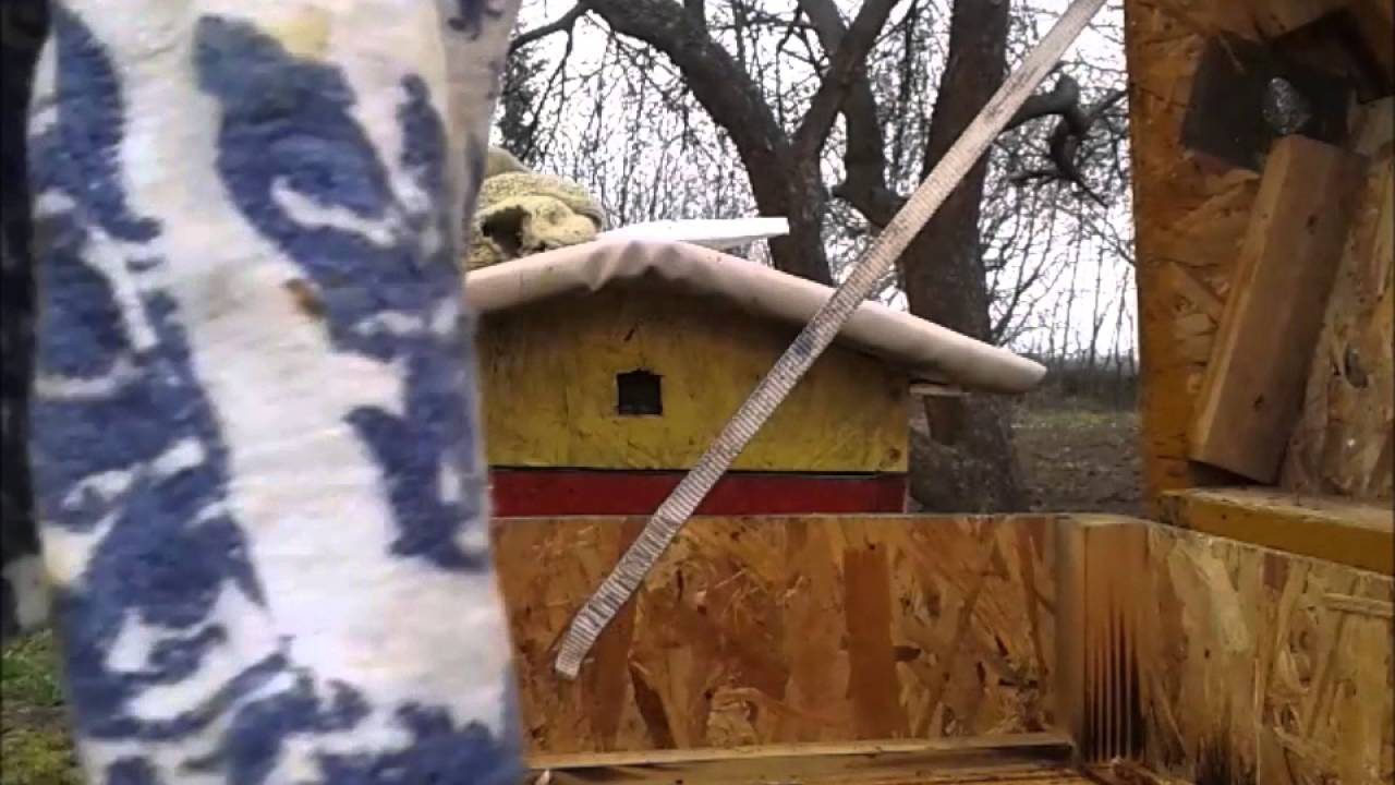 Poddawanie matki pszczelej Ligustica 10.04.2016 r.