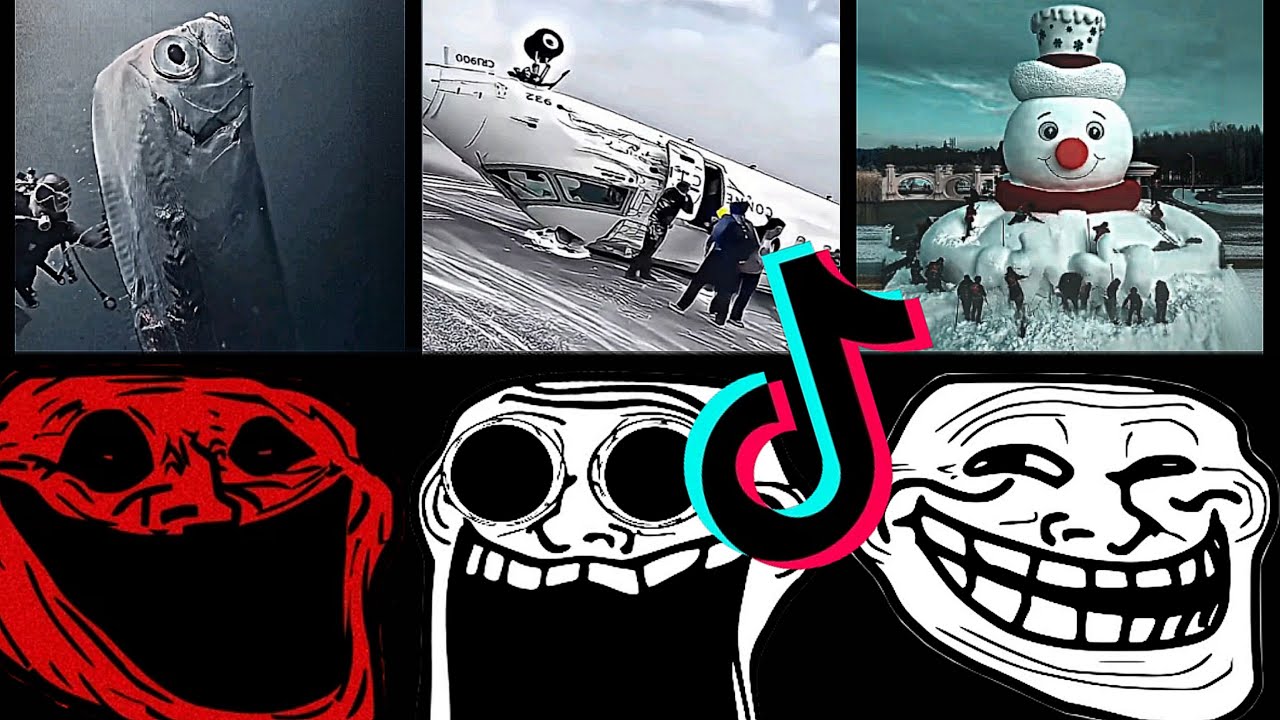 🥶 Coldest TrollFace Compilation 🥶 Troll Face Phonk Tiktoks 🥶 Coldest Moments Of All TIME #8