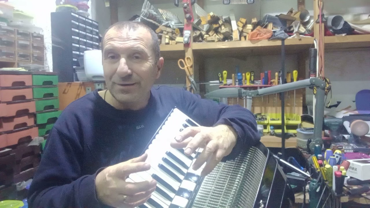 Servis harmonika Dane Loznica +38164 420 5721