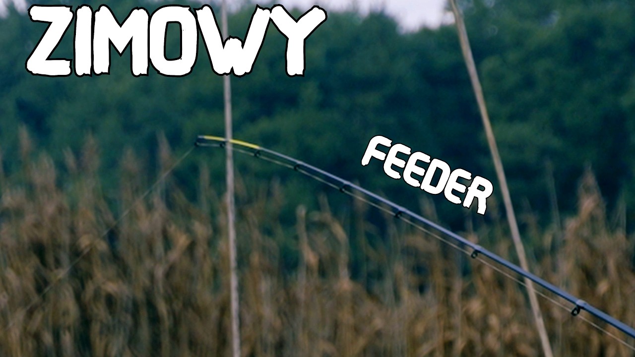 Zimowe Wędkarstwo Feederem : Dopracowane łowienie w zimnej zwykłej rzece.