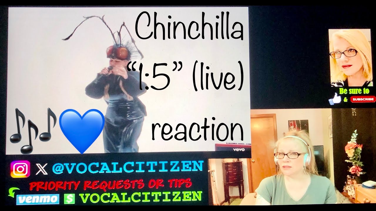 OMFG Chinchilla - 