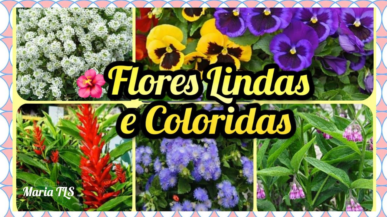 100 Lindas FOTOS com nomes De FLORES\(*;*)/#mariatls #flores #nomesdeflores