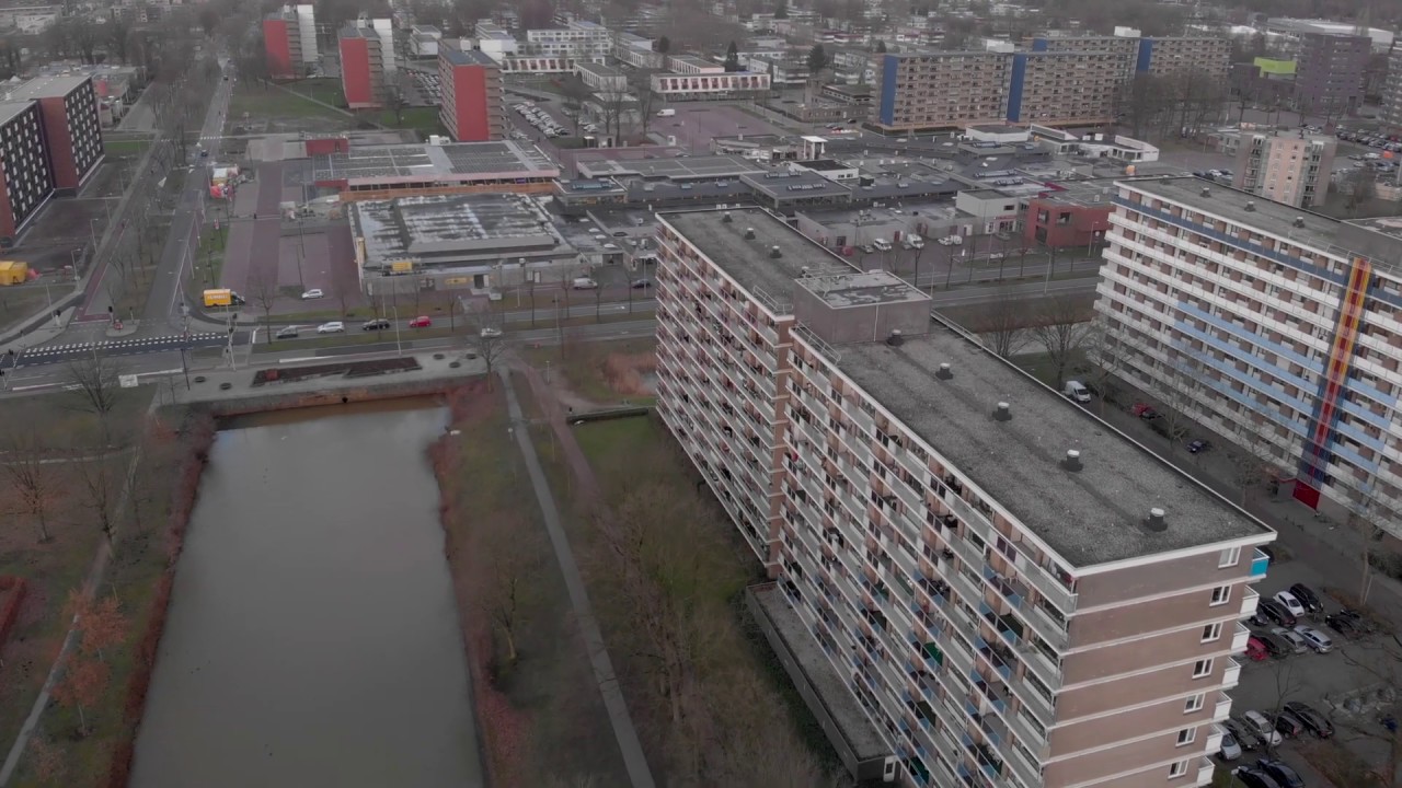 Urban Jungle #3 (Drone Series) [4K]