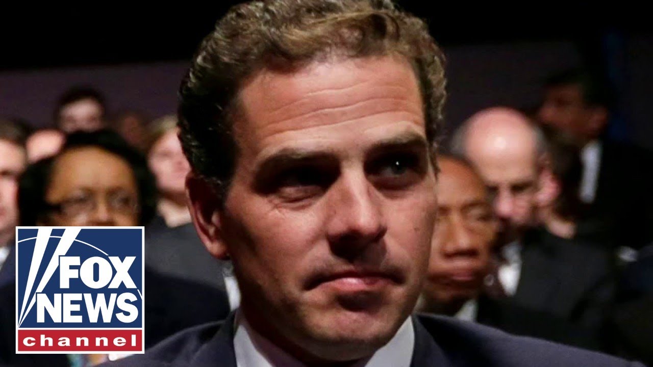 Hunter Biden travel logs were heavily redacted, missing years: Sen. Grassley