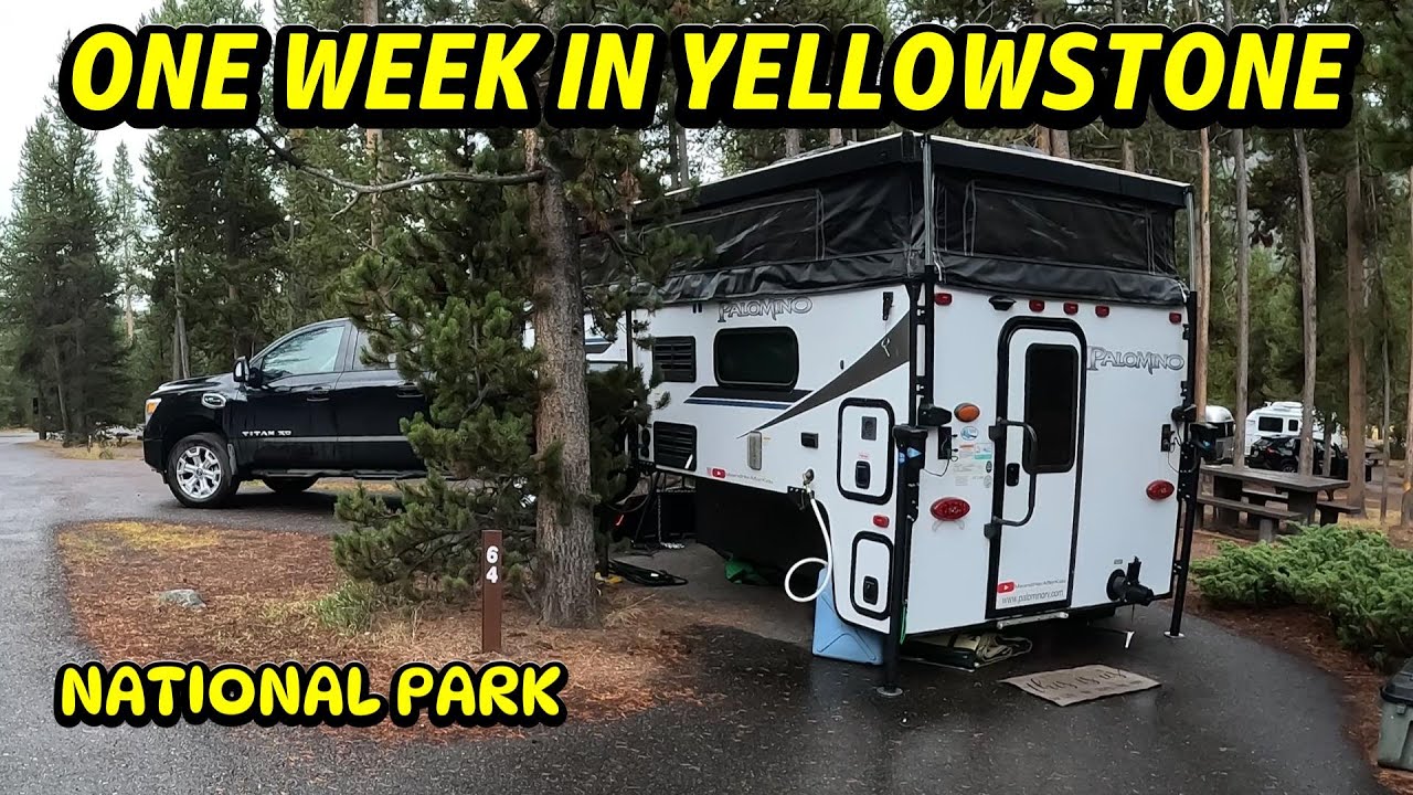 A Week In Yellowstone National Park
