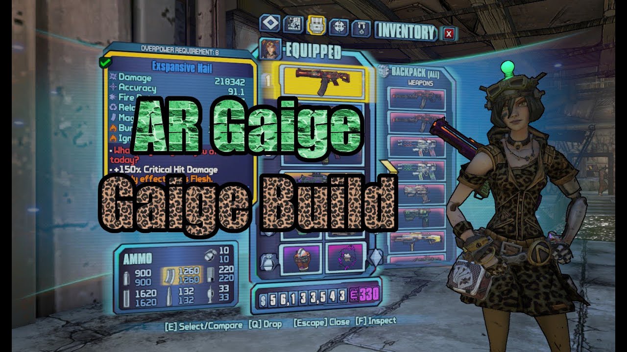 Borderlands 2: Assault Rifle Gaige - Build Showcase (w/ Download)