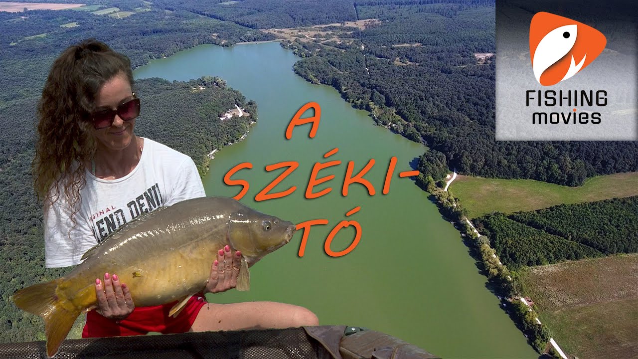 SZEKI TO