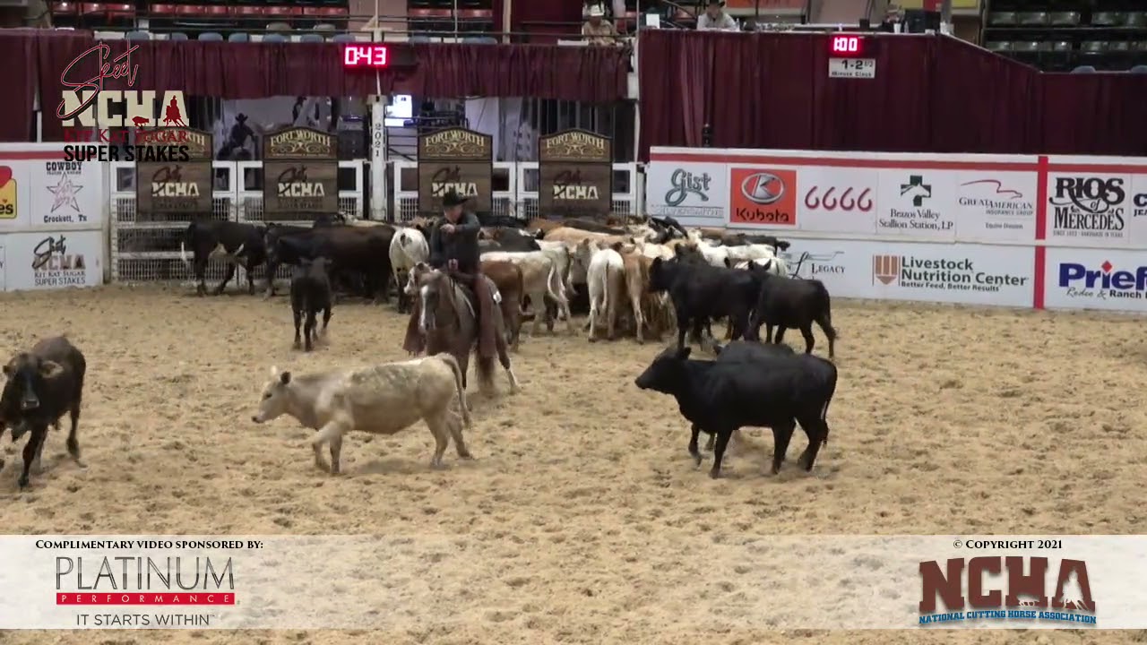 METALLIC MOCHA shown by GREG DELONG   2021 NCHA Super Stakes 6 7 Ltd  Am, Finals