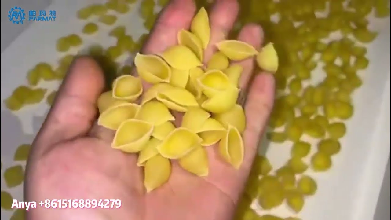 PARMAT 1000kg/h Fully Automated Pasta Line Goes Live