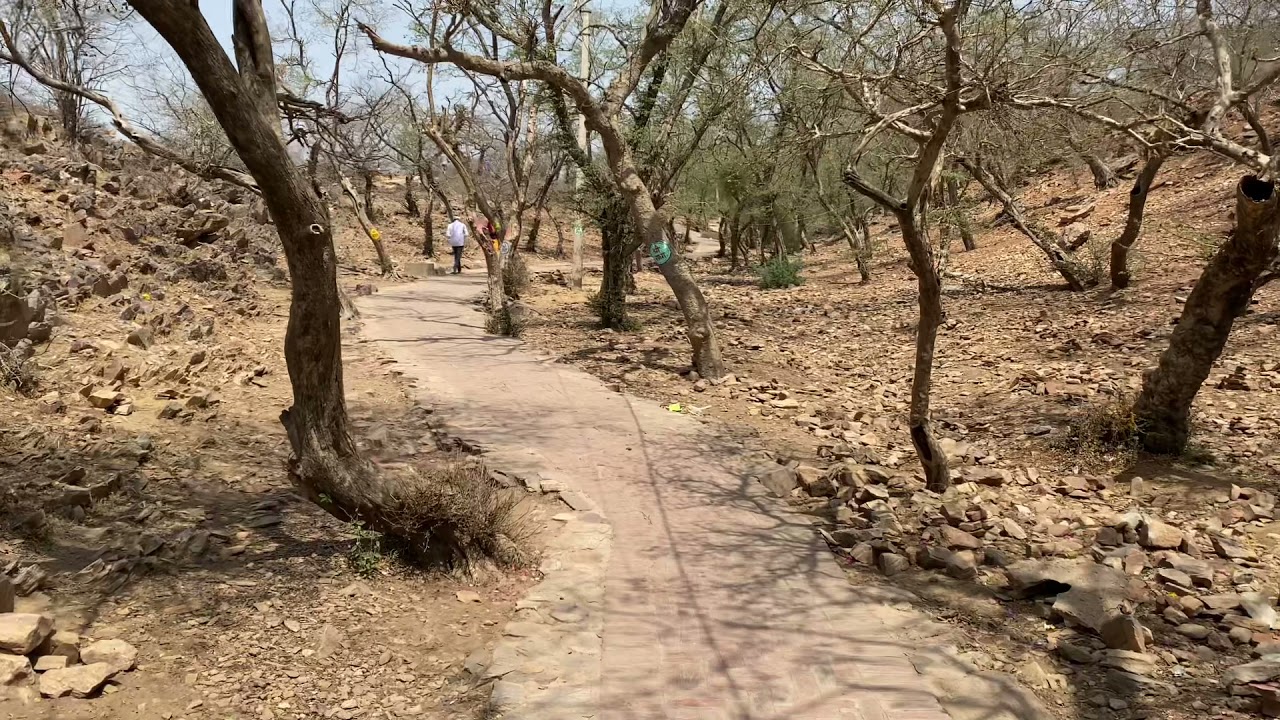 Gahvar Van, Barsana