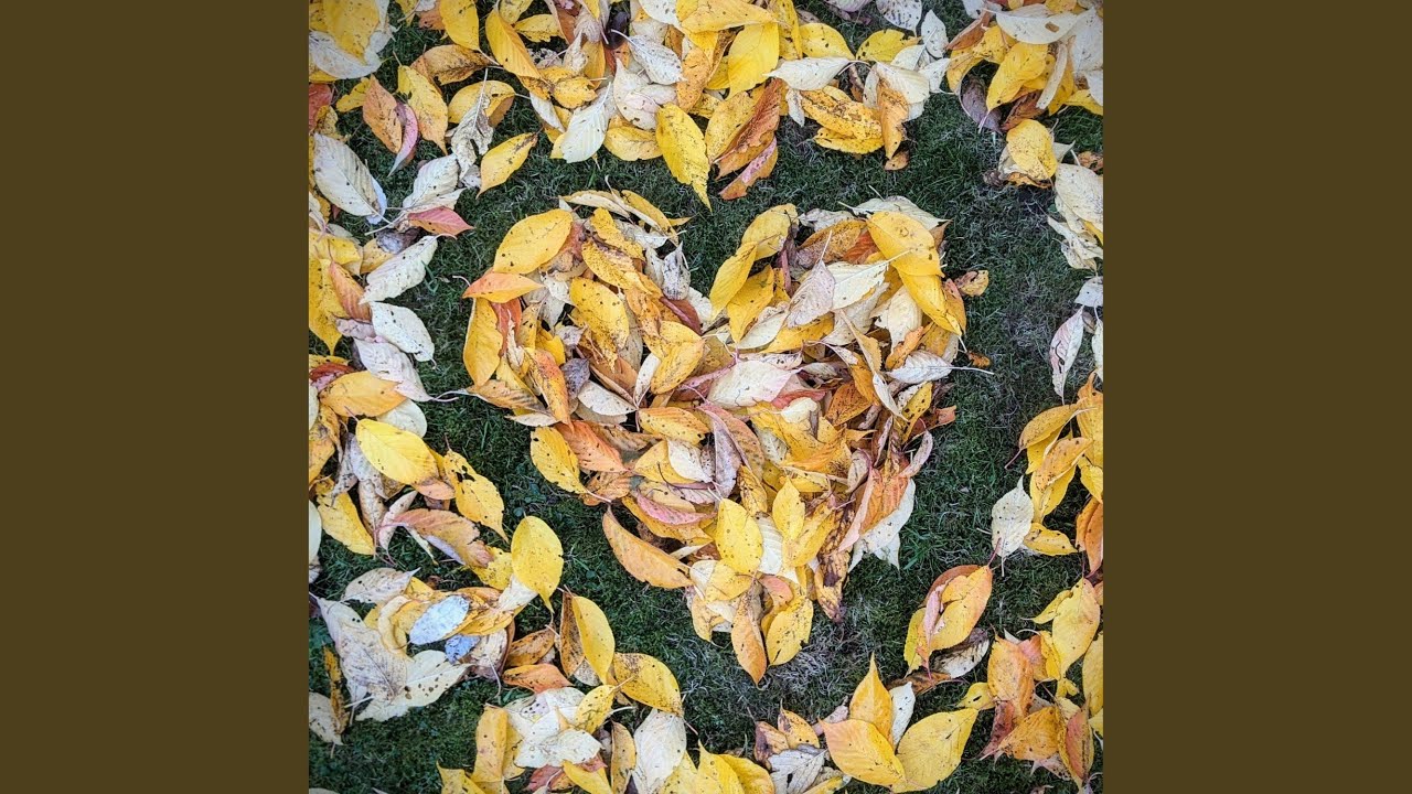 Fall into Autumn