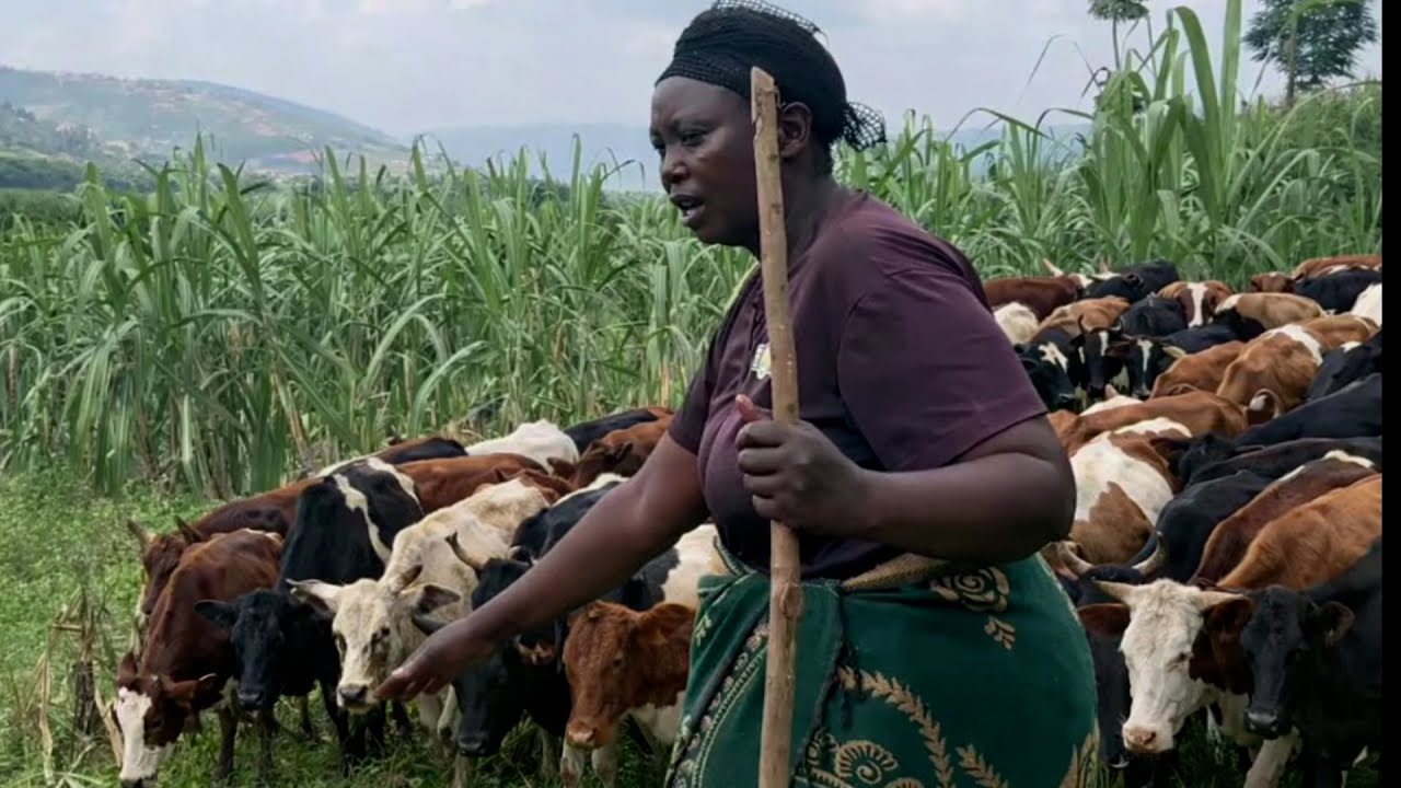 KIGALI: UMUTURAGE ARASHINJA UMUKIRE KUMWONESHEREZA IMYAKA YE //AKABA AMUTERA UBWOBA KO AZAMWICA.