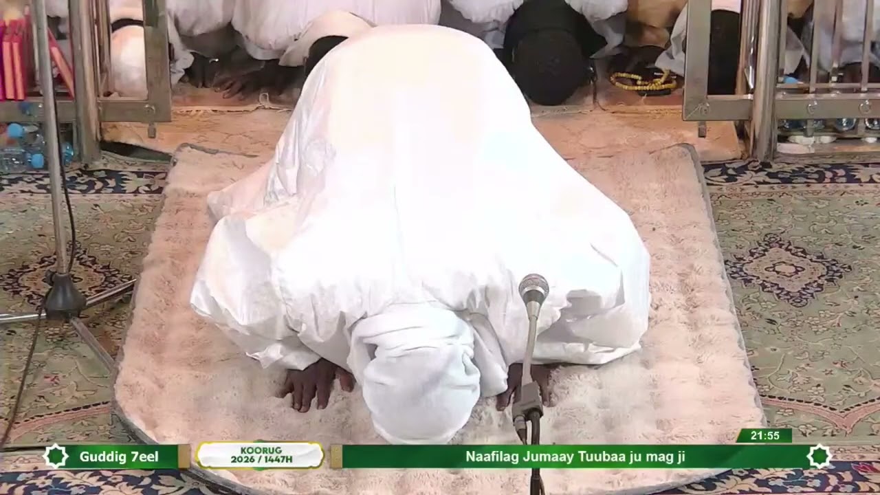NAFILA 7éme Nuit à la Grande Mosquée de TOUBA / RAMADAN 2026 1447H