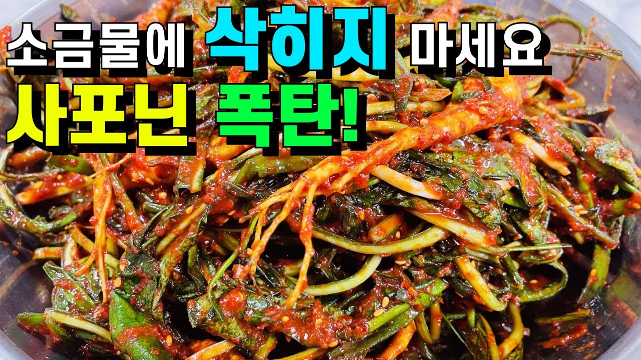 태어나서 이렇게 맛있는 고들빼기 김치는 처음 봅니다💚질기지 않고 끝까지 아삭해요/소금물에 삭히지 마세요/ 이 정도로 맛있을 줄 몰랐어요!/3번 해 드세요