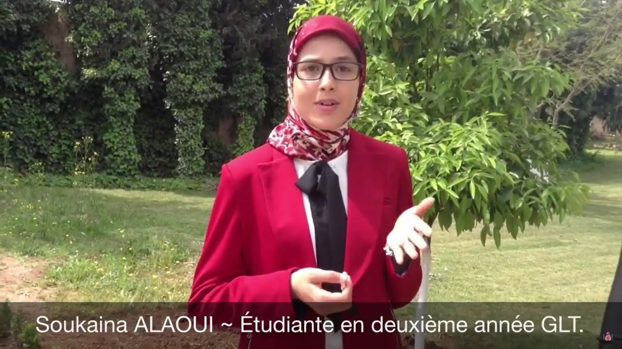 Présentation Filière DUT Gestion Logistique et Transport (LOG)