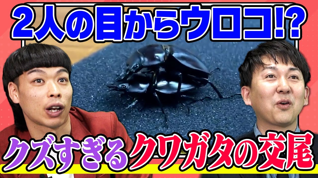 【バッテリィズの目からウロコ #2】エースがツチノコを発見！？のはずが思いがけない展開に！