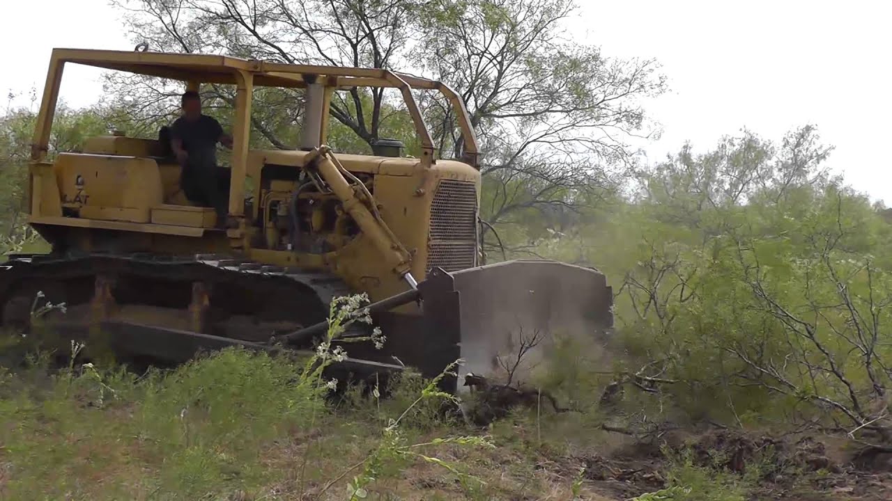 CAT D7E Pushing Trees
