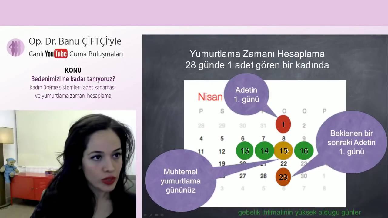 Takvim Metodu, Yumurtlama Günü Hesaplama