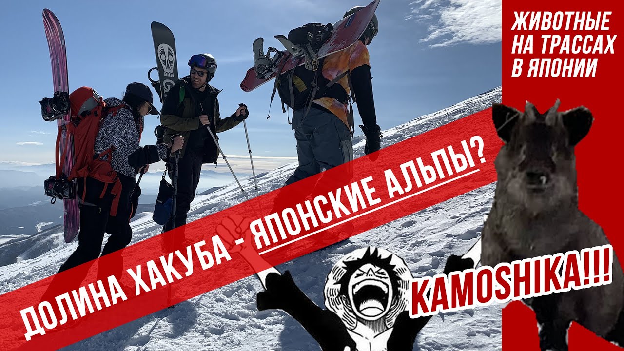 Горнолыжная Япония: долина Хакуба. Фрирайд, цены, лайфхаки, сноубординг и при чем тут австралийцы