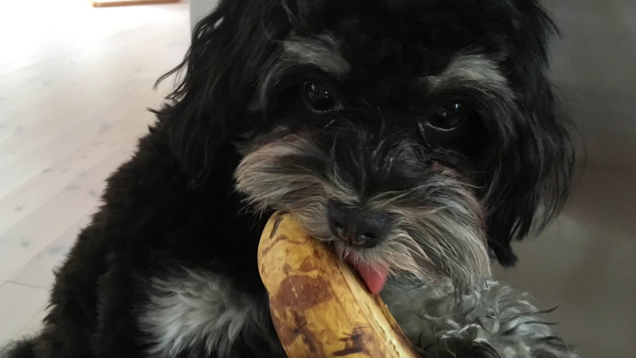 Pink Banana - Eaten Banana