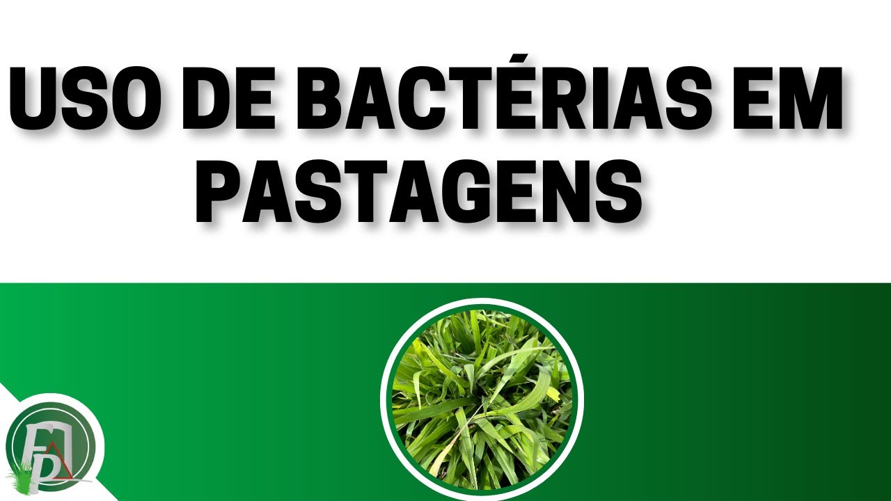 USO DE BACTÉRIAS EM PASTAGENS