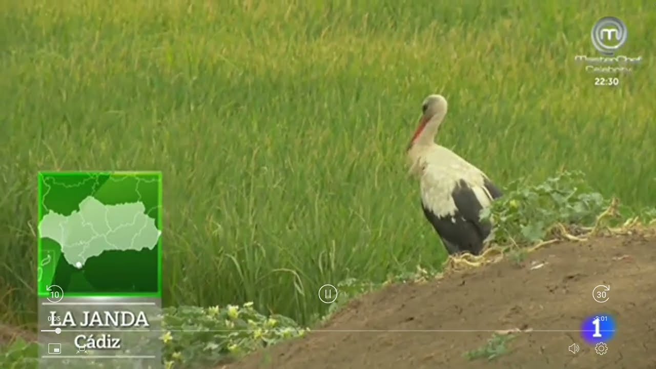 ¿Qué ha sido de La Janda? Aquí la Tierra TVE