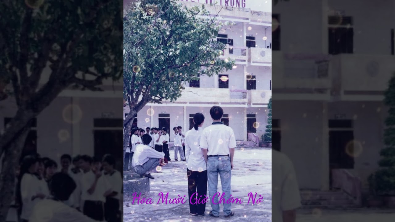 Hoa Mười Giờ 