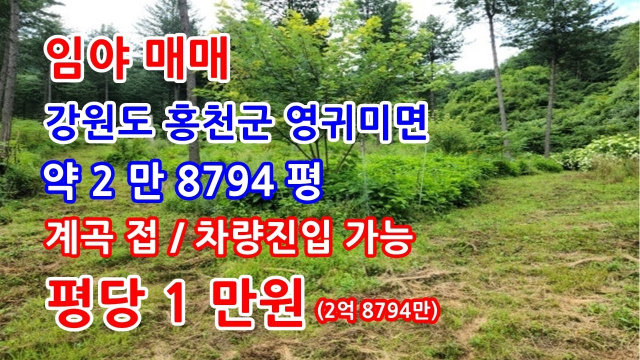 임야매매 강원도 홍천군 계곡접한 임야매매