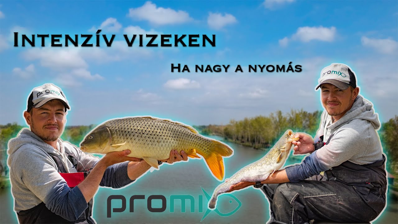 Intenzív vizeken - Ha nagy a nyomás