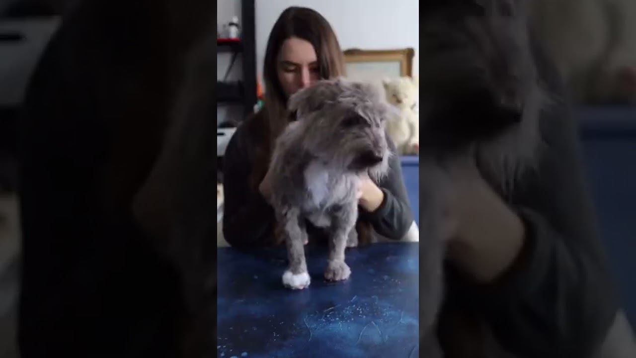 Another stuffed animals made from Faux Fur