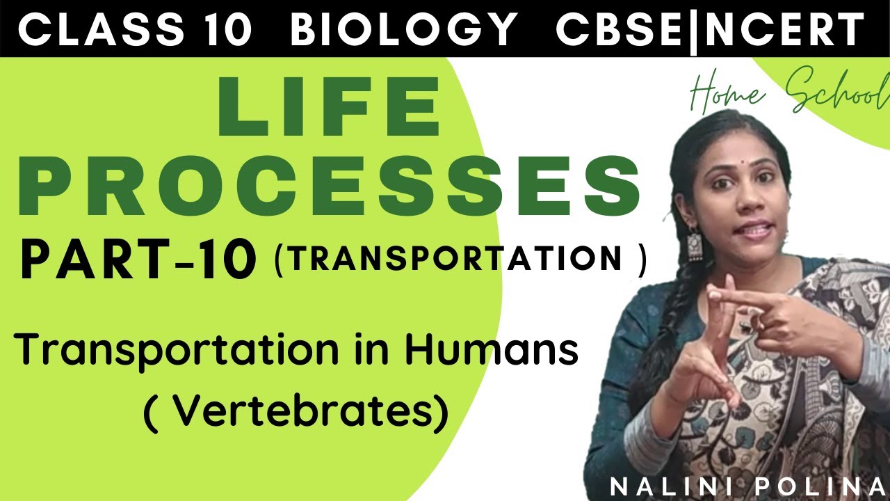 𝐋𝐢𝐟𝐞 𝐏𝐫𝐨𝐜𝐞𝐬𝐬𝐞𝐬 𝐂𝐥𝐚𝐬𝐬 𝟏𝟎 𝐁𝐢𝐨𝐥𝐨𝐠𝐲 𝐍𝐂𝐄𝐑𝐓 𝐂𝐁𝐒𝐄 𝐏𝐚𝐫𝐭 -10