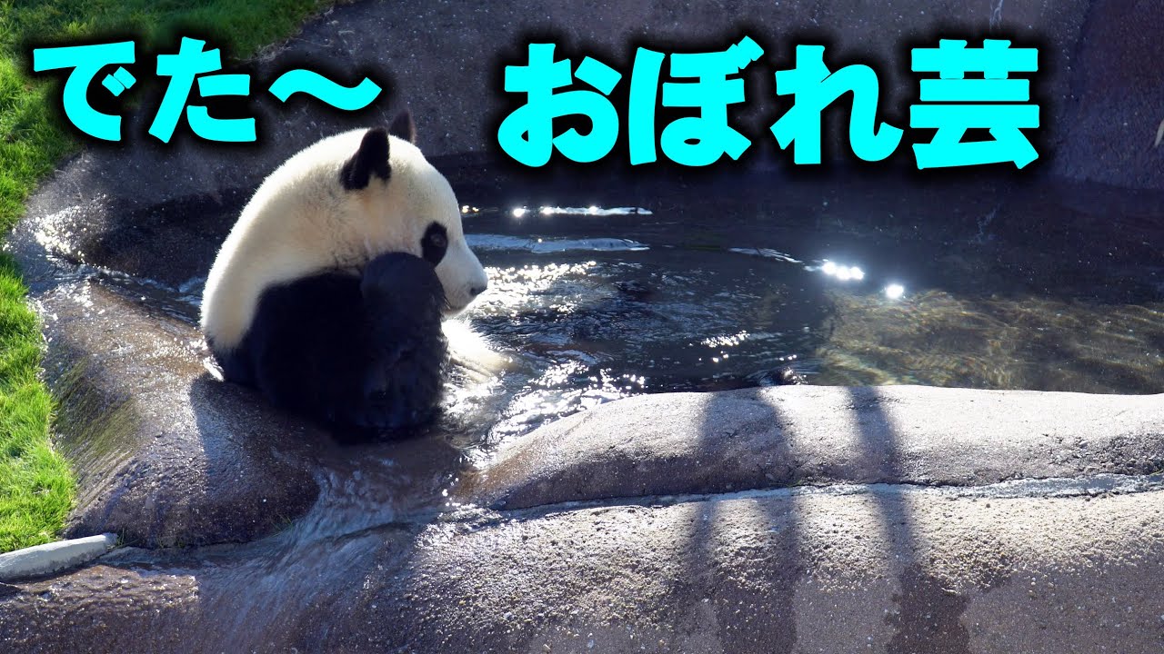 出た～胸までどっぷり、少し洗いなさい！、コンガリ楓浜が多種多芸を披露、年末やなあ