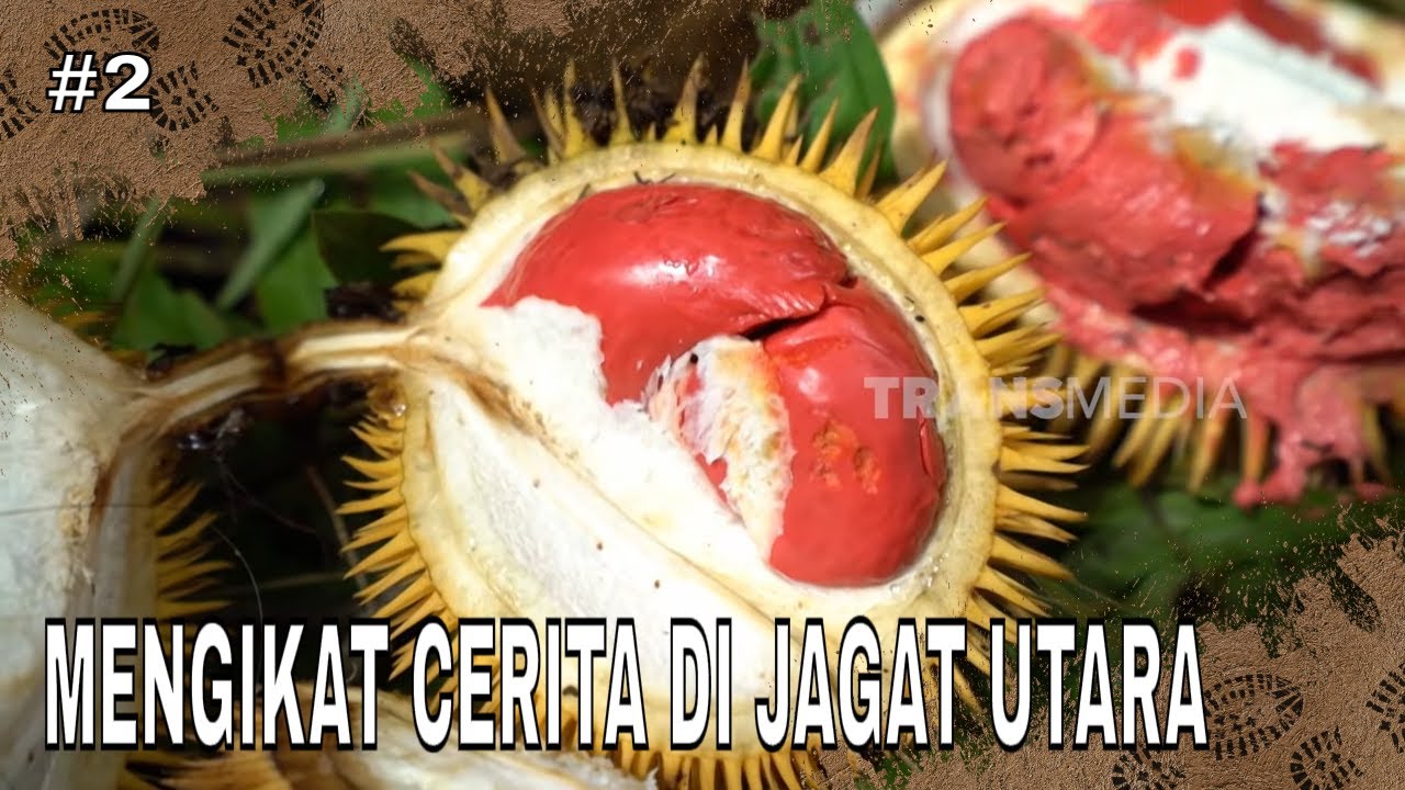 MENGIKAT CERITA DI JAGAT UTARA | JEJAK PETUALANG (23/01/26) Part 2