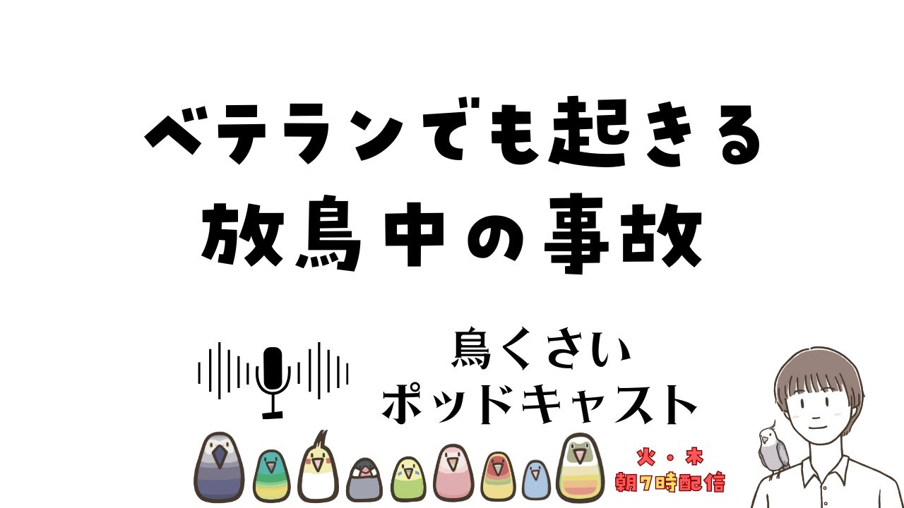 【放鳥中の事故】ベテランでも起きる「一瞬の隙」｜悲劇を防ぐ足元確認の習慣 (EP.157)