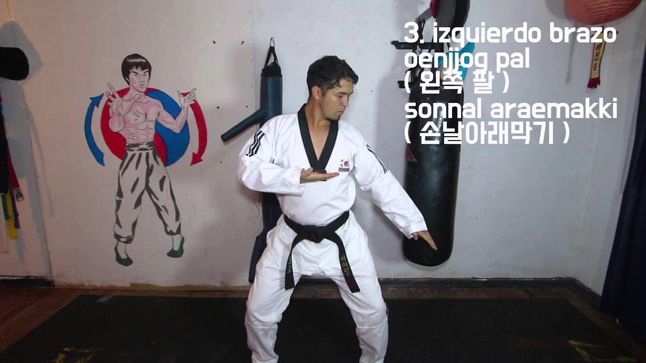 KIBON 3 - TAEKWONDO