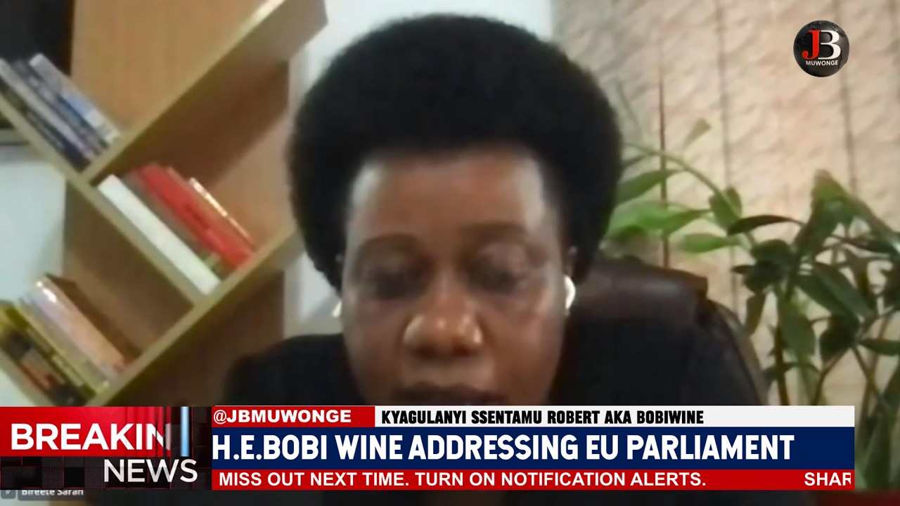 Dr Sarah Berete Addressing Eu Parliament - Her Bold Full Speech