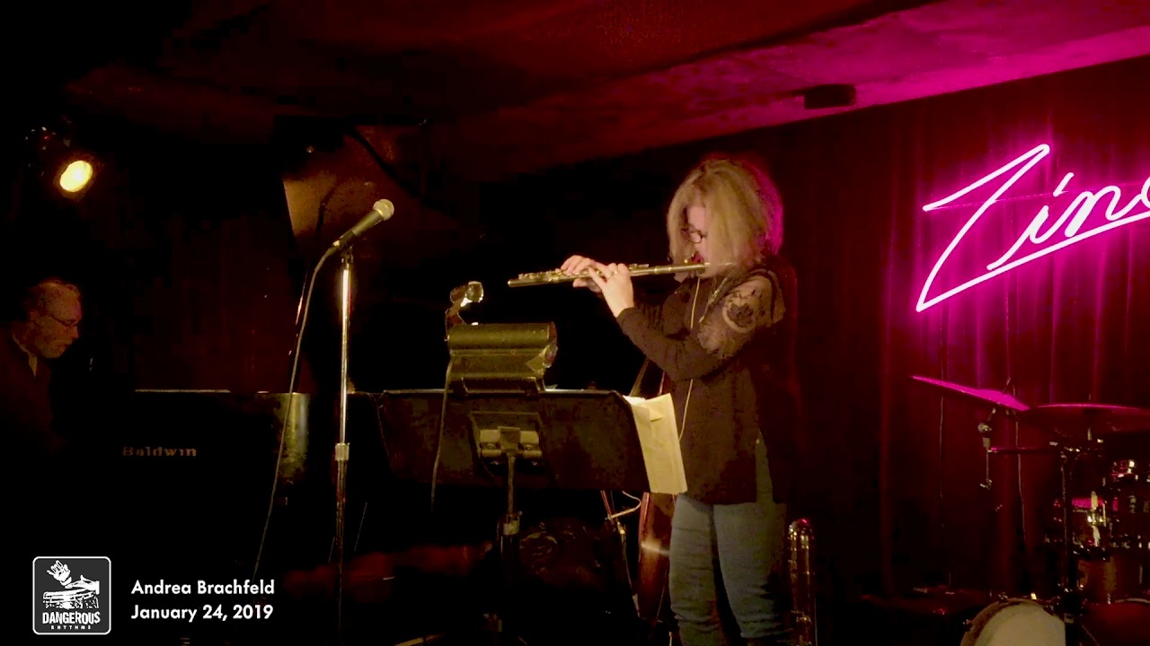 Dangerous Rhythms - Andrea Brachfeld
