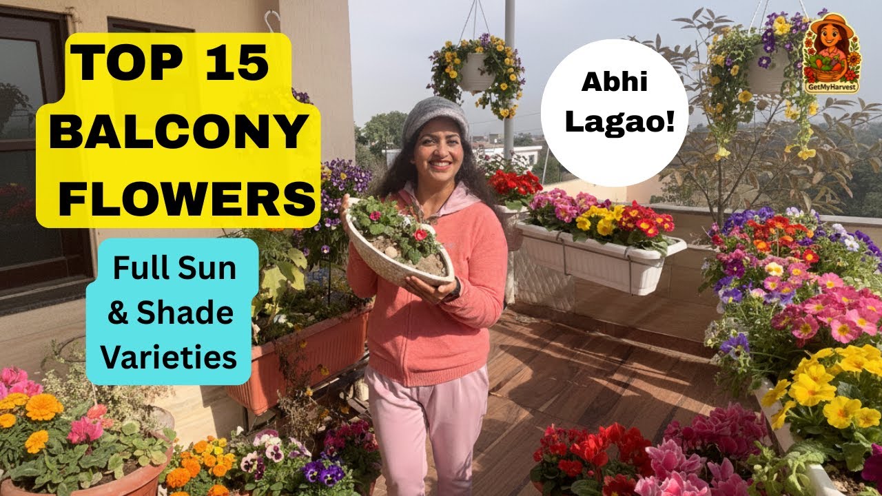 🌸15 Best Flowers for Indian Balconies🌸: Full Sun to Full Shade (Jan to May) ABHI LAGAO!🤩