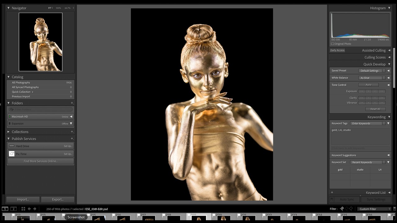 Editing Gold Photo Session with LA