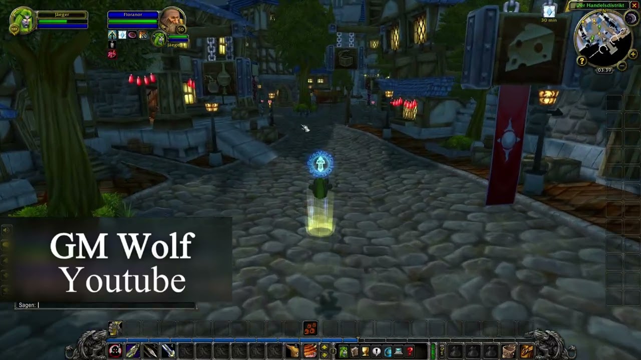 Nachtelf J&auml;ger | Armbr&uuml;ste, Einhandschwerter, St&auml;be, Zweihandschwerter tragen lernen | WoW Classic