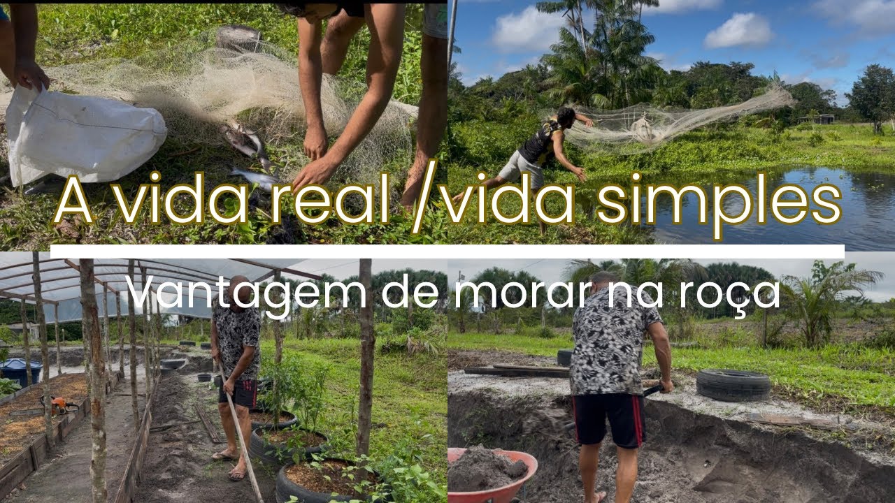 VIDA Simples vida real a vantagem de morar na ro&ccedil;a #vidanaro&ccedil;a #vidasimples #vidareal #vidanocampo
