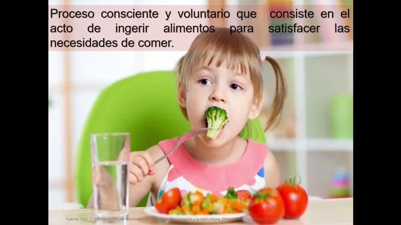 Clase 1 Diet&eacute;tica