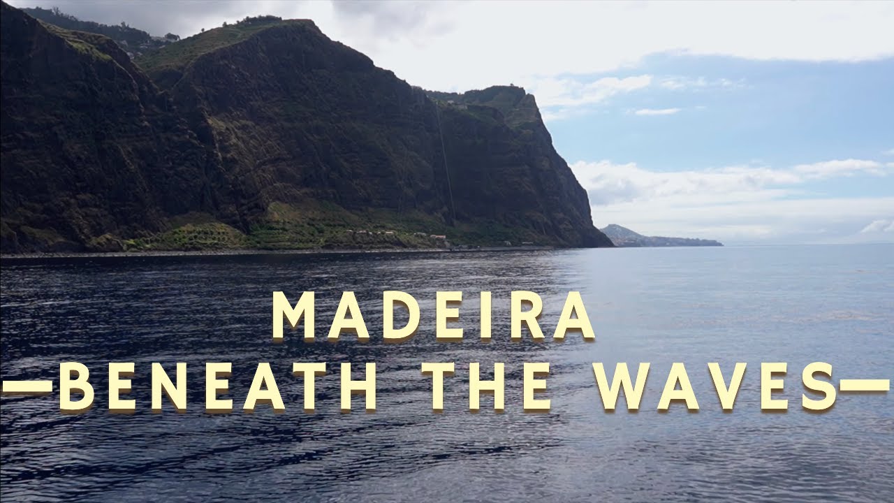 This Is Madeira From the Sea | Marine Life & Ocean Adventures