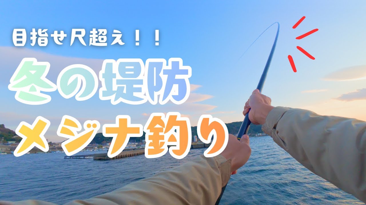 冬の堤防で延べ竿メジナ！