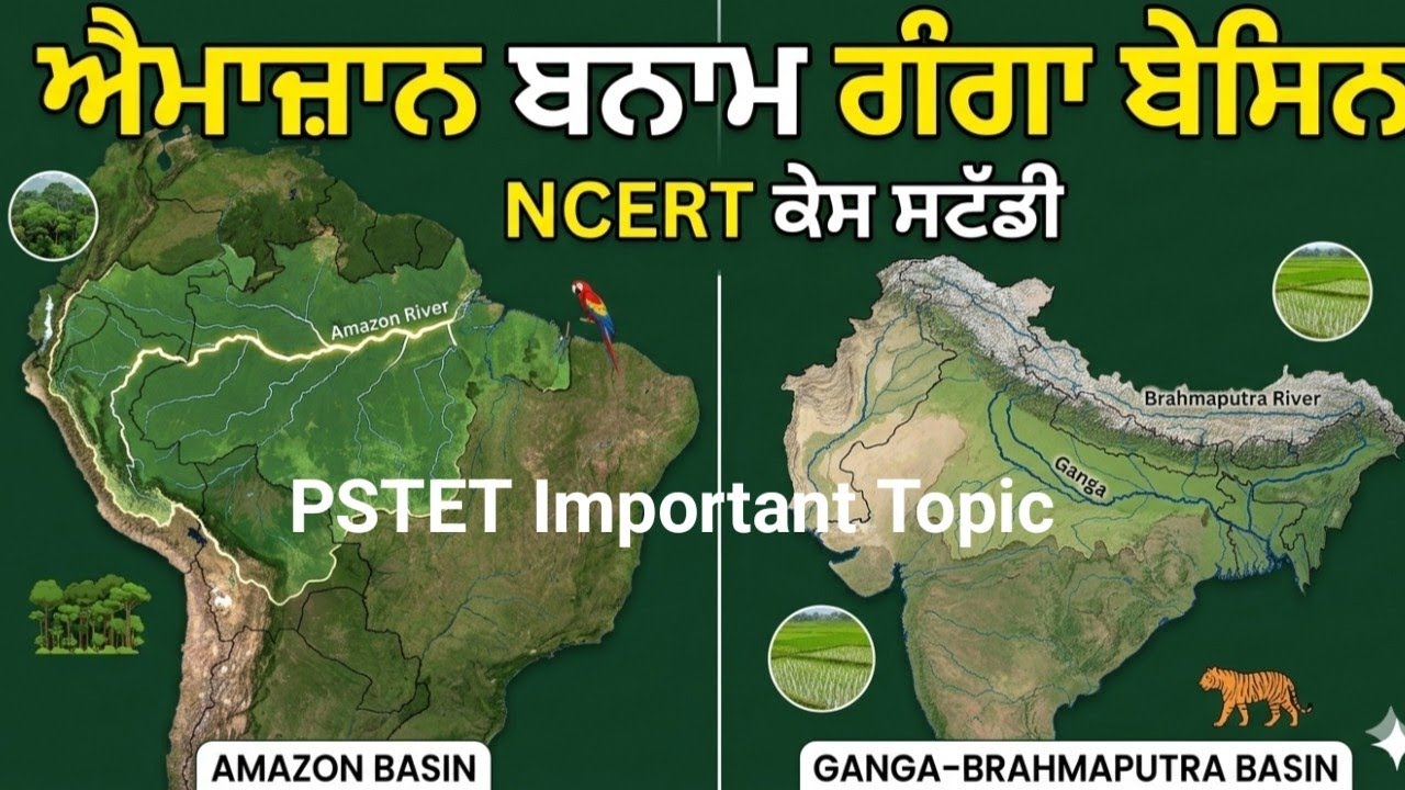 PSTET 2026 | Day-13 SST Paper-2 Geography | NCERT Case Study