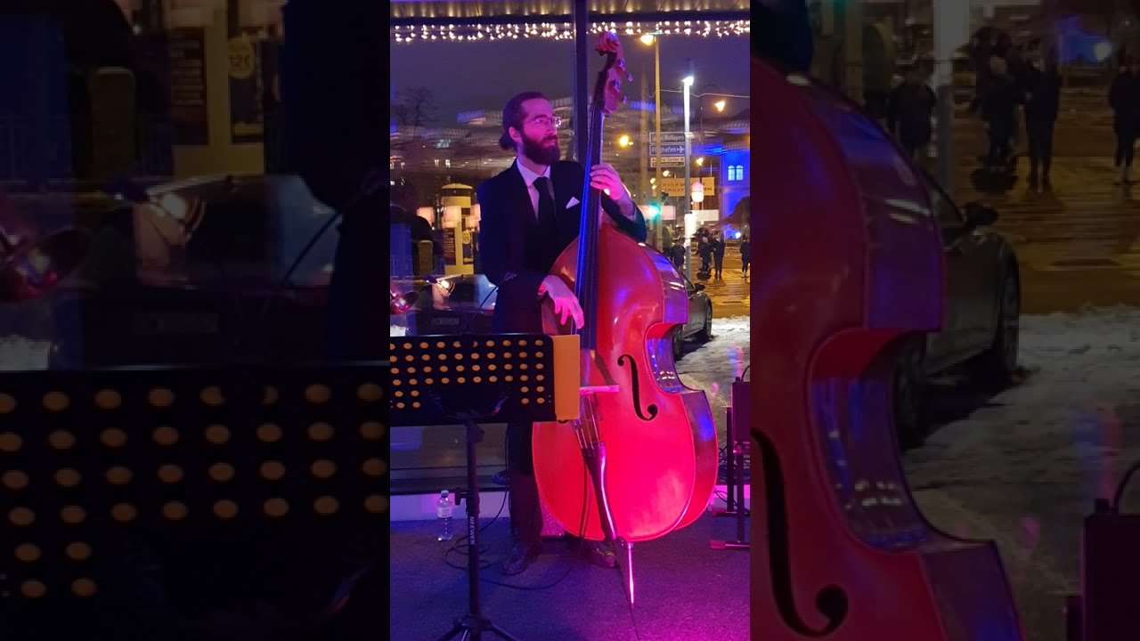 Jazz Trio  - Vienna, Austria
