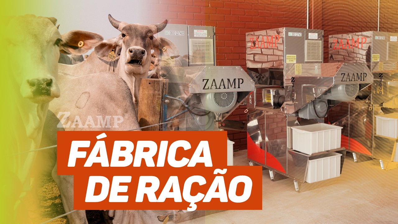 FÁBRICA DE RAÇÃO E ÓLEO DE SOJA: Confinamento de bovinos aumenta rentabilidade com farelo de soja